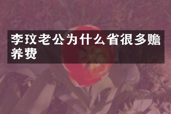 李玟老公为什么省很多赡养费