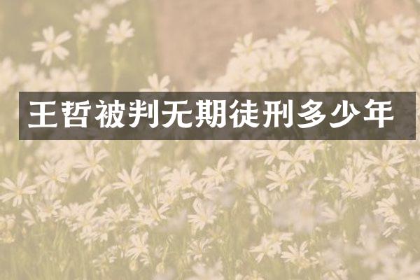 王哲被判无期徒刑多少年