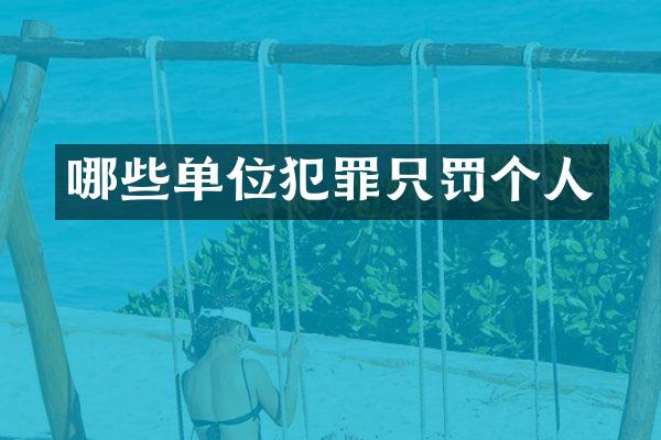哪些单位犯罪只罚个人