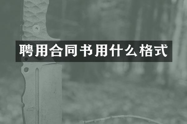 聘用合同书用什么格式