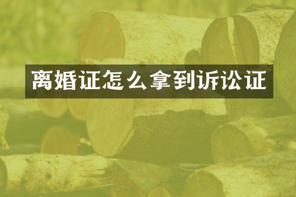怎么拿到诉讼证