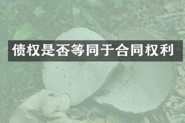 债权是否等同于合同权利