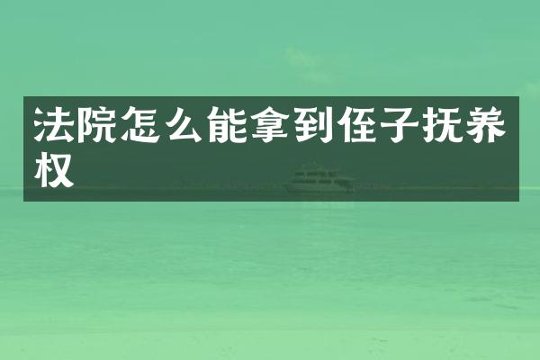 法院怎么能拿到侄子抚养权