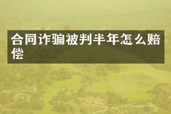合同诈骗被判半年怎么赔偿