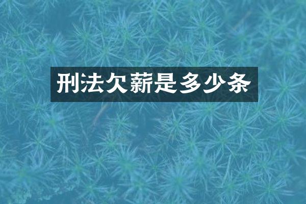 刑法欠薪是多少条