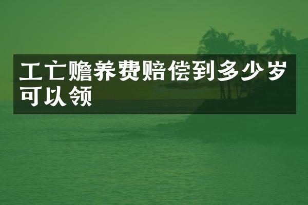 工亡赡养费赔偿到可以领