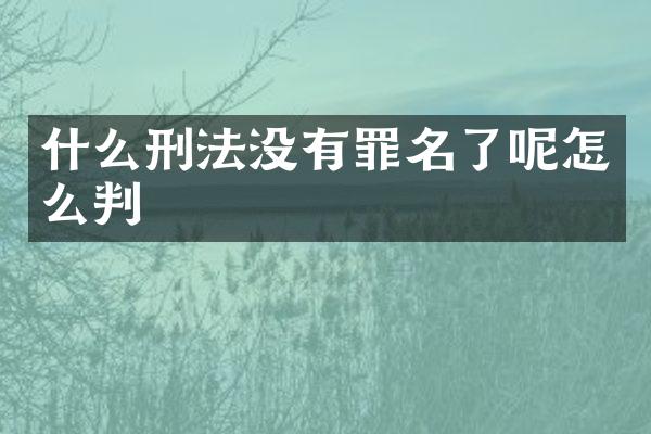 什么刑法没有罪名了呢怎么判