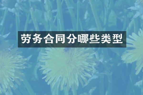 劳务合同分哪些类型