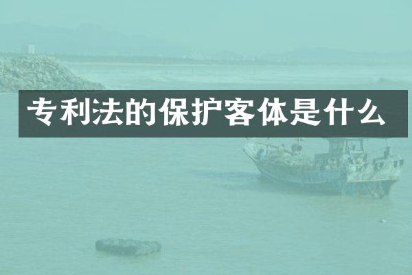 专利法的保护客体是什么