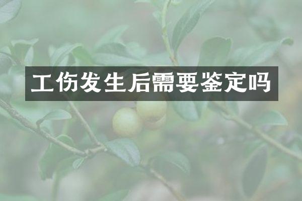 工伤发生后需要鉴定吗