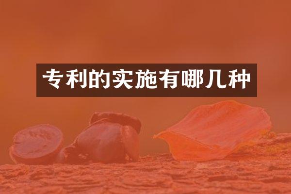 专利的实施有哪几种