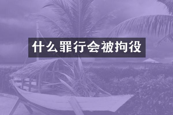 什么罪行会被拘役