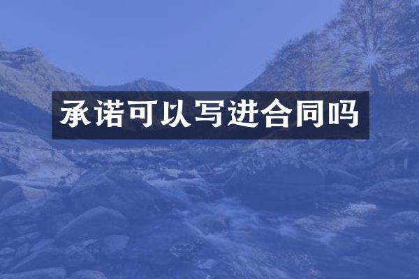承诺可以写进合同吗