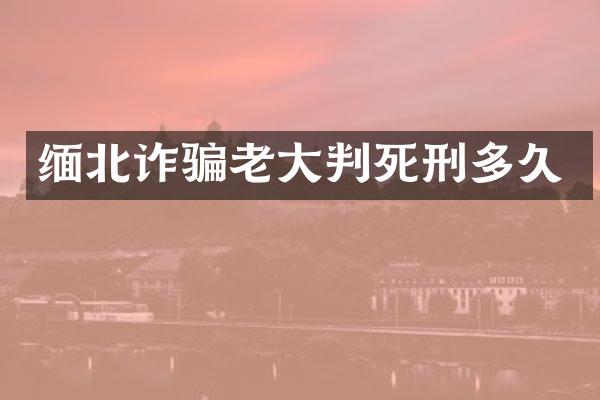 缅北诈骗老大判死刑多久