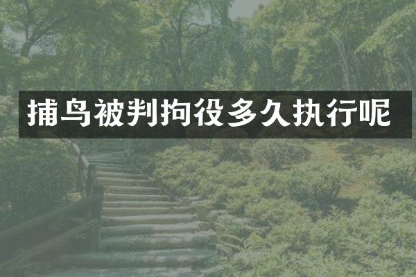 被判拘役多久执行呢