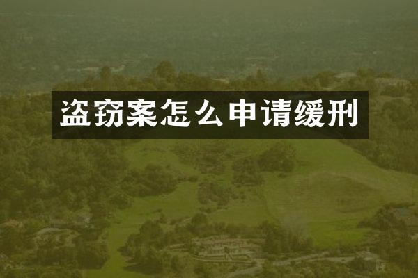 盗窃案怎么申请缓刑