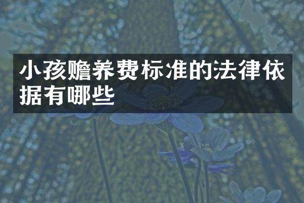 小孩赡养费标准的法律依据有哪些