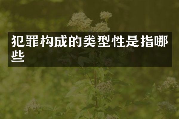 犯罪构成的类型性是指哪些