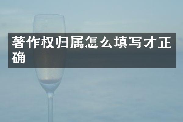 著作权归属怎么填写才正确