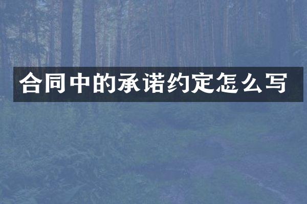合同中的承诺约定怎么写