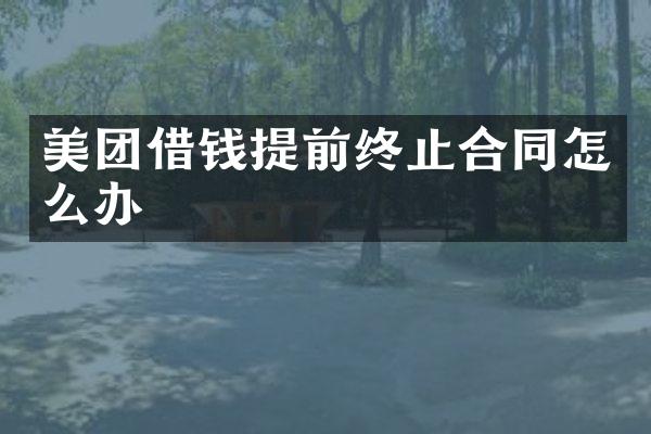 美团借钱提前终止合同怎么办