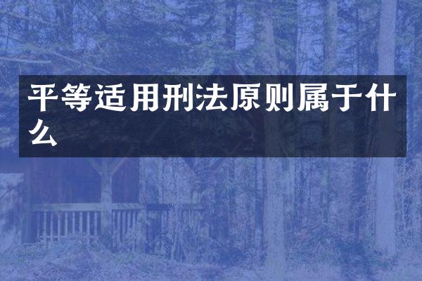 平等适用刑法原则属于什么