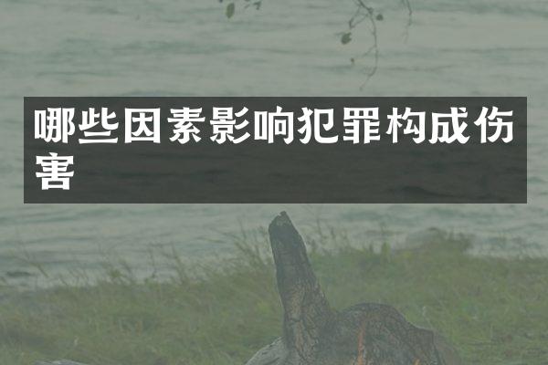 哪些因素影响犯罪构成伤害