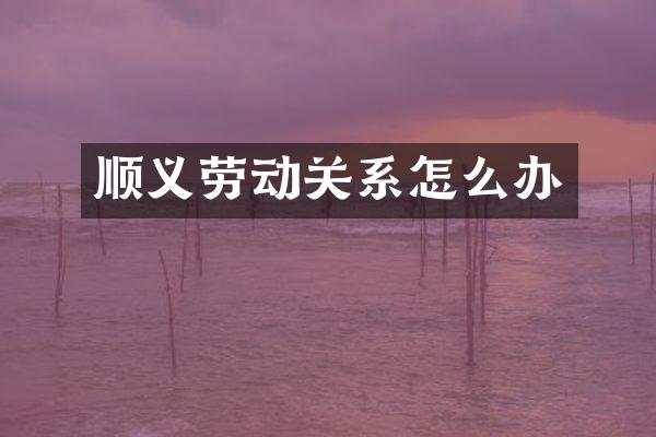 顺义劳动关系怎么办
