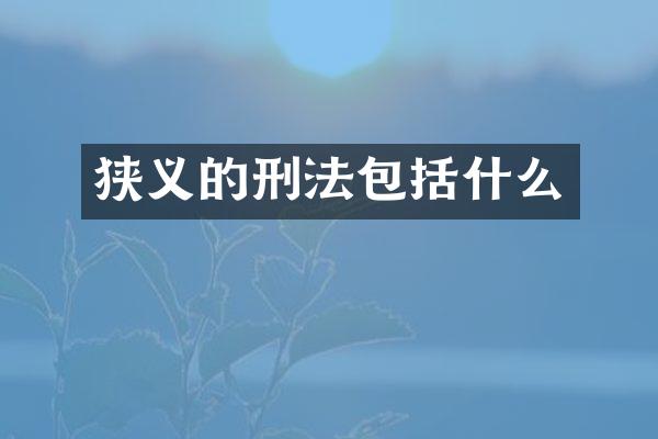 狭义的刑法包括什么
