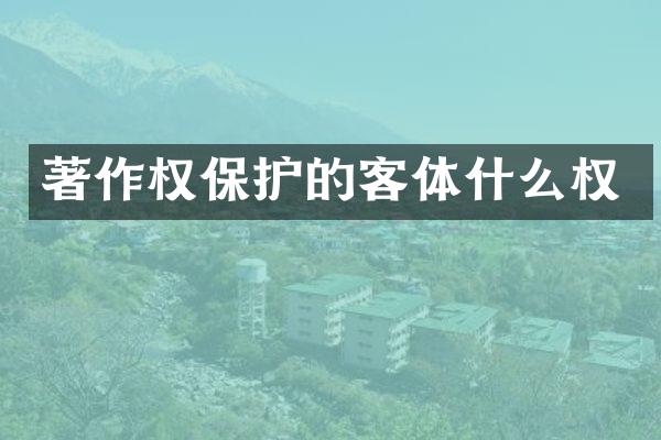 著作权保护的客体什么权