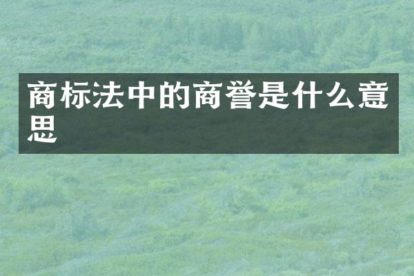 商标法中的商誉是什么意思