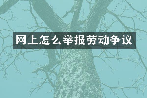 网上怎么举报劳动争议