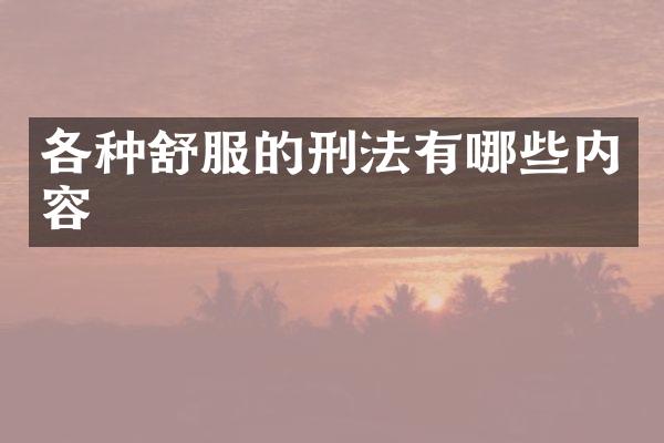 各种舒服的刑法有哪些内容