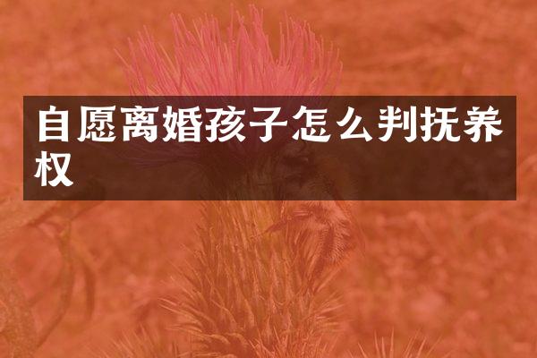 自愿离婚孩子怎么判抚养权