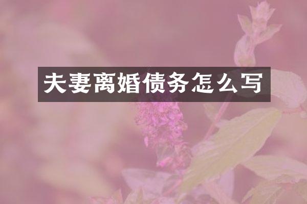 夫妻离婚债务怎么写
