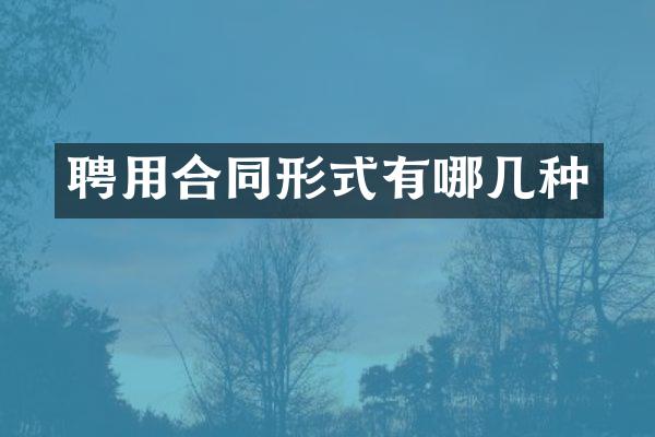 聘用合同形式有哪几种