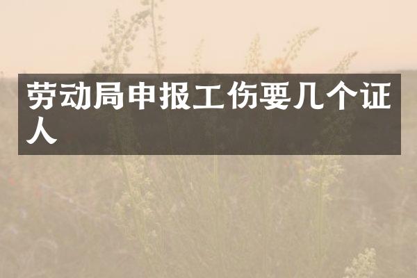 劳动局申报工伤要几个证人