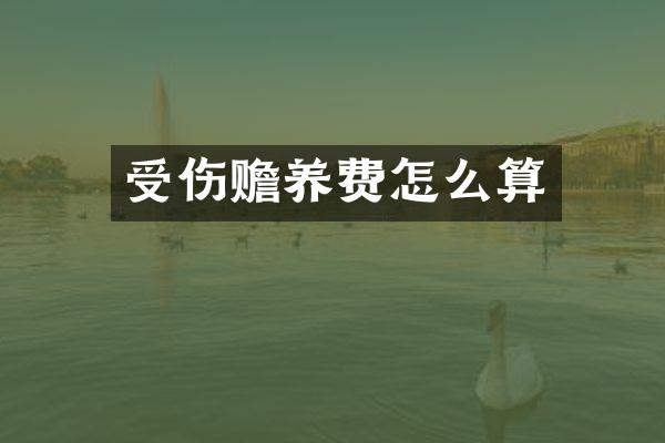受伤赡养费怎么算