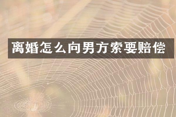 离婚怎么向男方索要赔偿