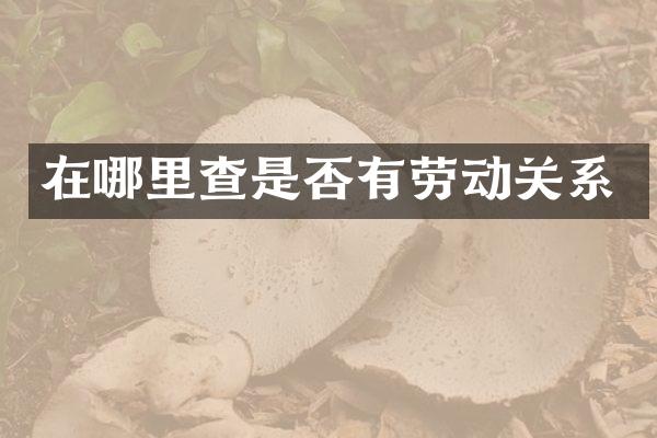 在哪里查是否有劳动关系