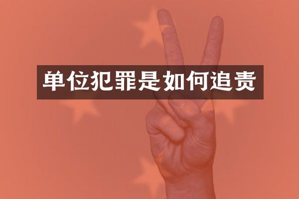 单位犯罪是如何追责