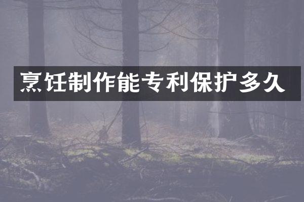 烹饪制作能专利保护多久
