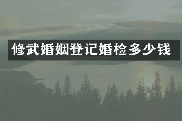修武婚姻登记多少钱