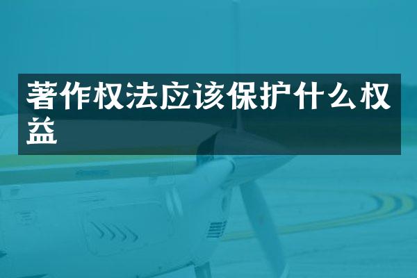 著作权法应该保护什么权益