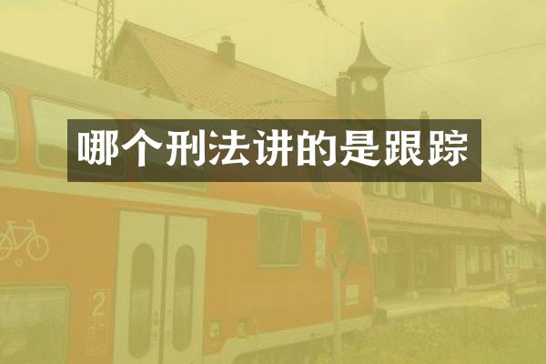 哪个刑法讲的是