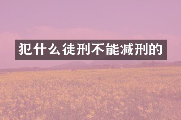 犯什么徒刑不能减刑的