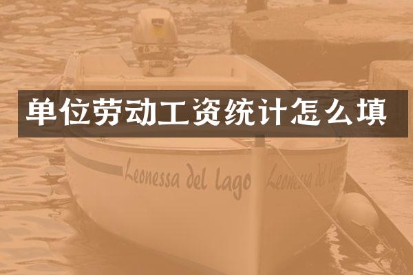 单位劳动工资统计怎么填