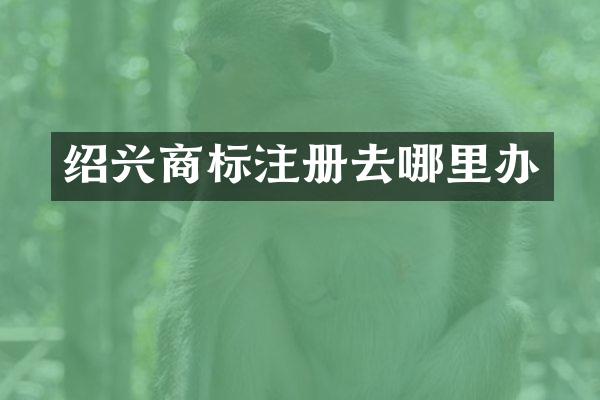 绍兴商标注册去哪里办