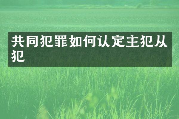 共同犯罪如何认定从犯