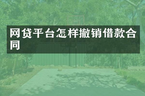 网贷平台怎样撤销借款合同